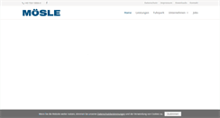 Desktop Screenshot of moesle.info