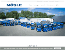 Tablet Screenshot of moesle.info